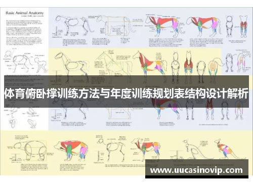 体育俯卧撑训练方法与年度训练规划表结构设计解析