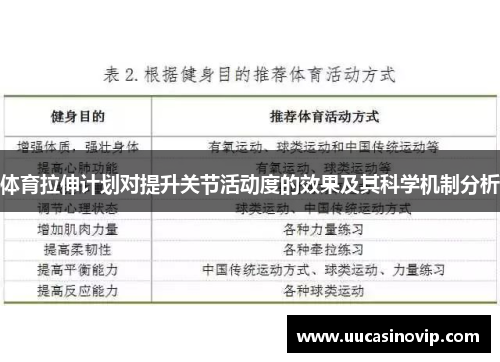 体育拉伸计划对提升关节活动度的效果及其科学机制分析